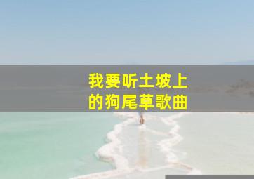 我要听土坡上的狗尾草歌曲