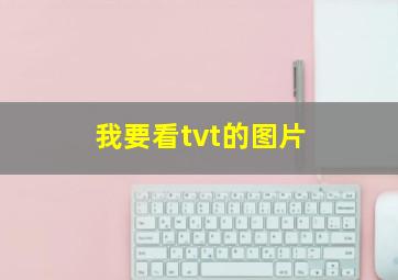 我要看tvt的图片