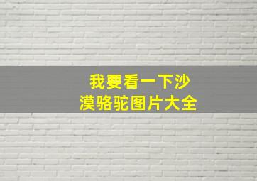 我要看一下沙漠骆驼图片大全