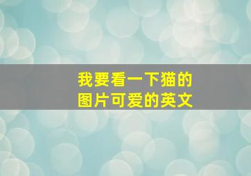 我要看一下猫的图片可爱的英文