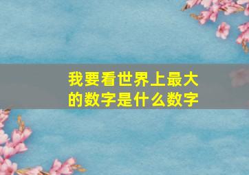 我要看世界上最大的数字是什么数字