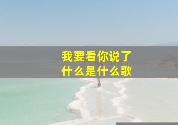 我要看你说了什么是什么歌