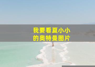 我要看夏小小的奥特曼图片