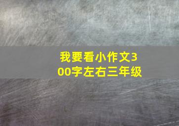 我要看小作文300字左右三年级