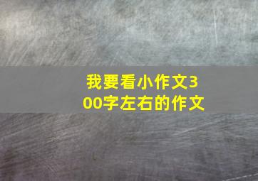 我要看小作文300字左右的作文