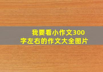 我要看小作文300字左右的作文大全图片