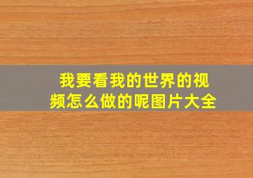 我要看我的世界的视频怎么做的呢图片大全