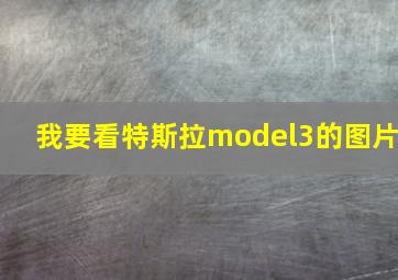 我要看特斯拉model3的图片