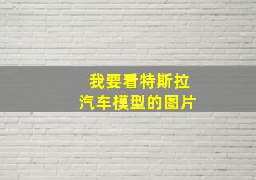 我要看特斯拉汽车模型的图片