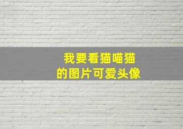 我要看猫喵猫的图片可爱头像