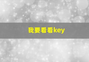 我要看看key