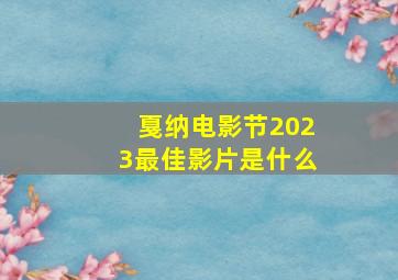 戛纳电影节2023最佳影片是什么