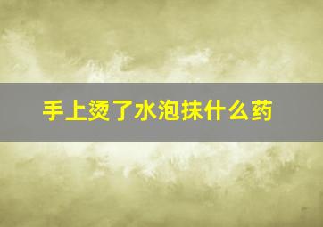 手上烫了水泡抹什么药