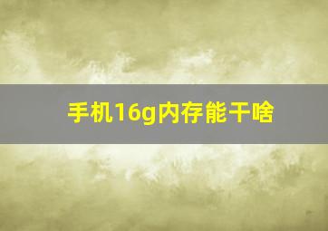 手机16g内存能干啥