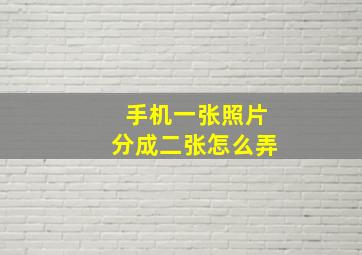 手机一张照片分成二张怎么弄