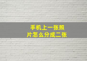 手机上一张照片怎么分成二张