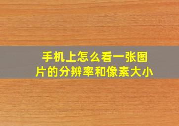 手机上怎么看一张图片的分辨率和像素大小