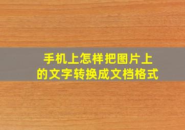 手机上怎样把图片上的文字转换成文档格式