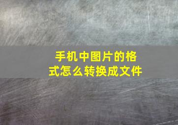 手机中图片的格式怎么转换成文件