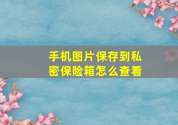 手机图片保存到私密保险箱怎么查看