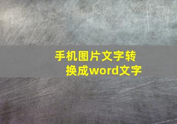 手机图片文字转换成word文字