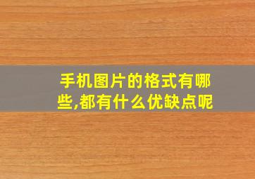 手机图片的格式有哪些,都有什么优缺点呢