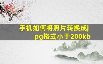 手机如何将照片转换成jpg格式小于200kb