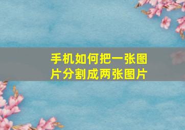 手机如何把一张图片分割成两张图片