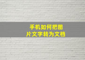 手机如何把图片文字转为文档