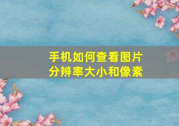 手机如何查看图片分辨率大小和像素