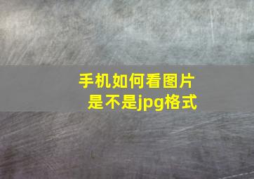 手机如何看图片是不是jpg格式