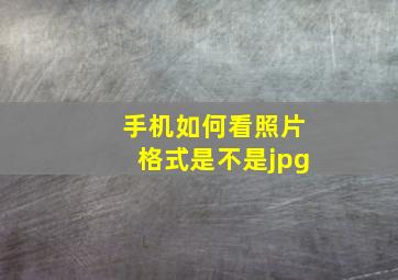 手机如何看照片格式是不是jpg