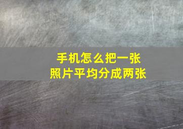 手机怎么把一张照片平均分成两张