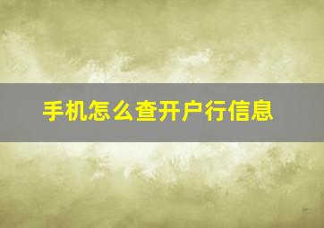 手机怎么查开户行信息