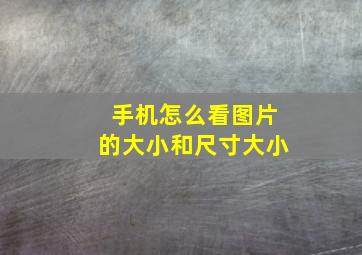 手机怎么看图片的大小和尺寸大小