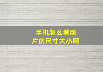 手机怎么看照片的尺寸大小啊