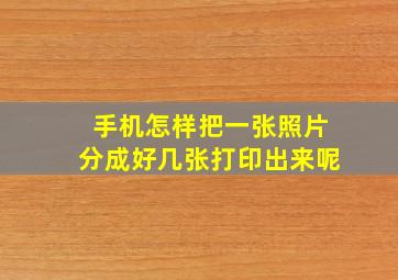 手机怎样把一张照片分成好几张打印出来呢