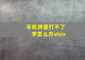 手机拼音打不了字怎么办vivo