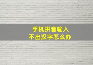 手机拼音输入不出汉字怎么办