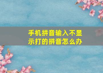 手机拼音输入不显示打的拼音怎么办