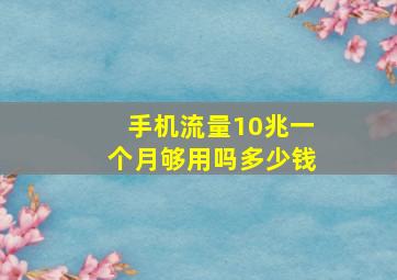 手机流量10兆一个月够用吗多少钱