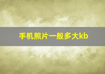 手机照片一般多大kb