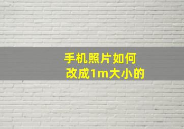 手机照片如何改成1m大小的