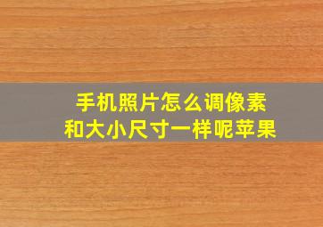 手机照片怎么调像素和大小尺寸一样呢苹果