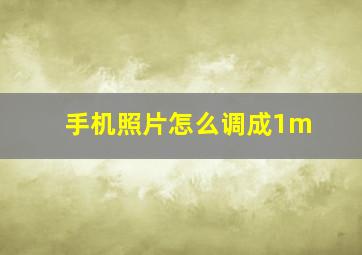 手机照片怎么调成1m