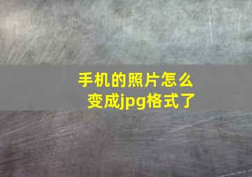 手机的照片怎么变成jpg格式了