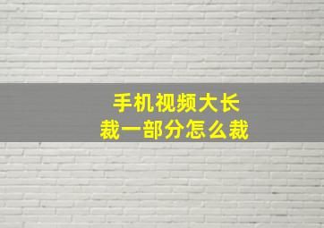 手机视频大长裁一部分怎么裁