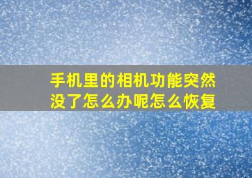 手机里的相机功能突然没了怎么办呢怎么恢复