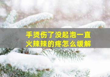 手烫伤了没起泡一直火辣辣的疼怎么缓解