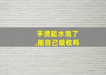 手烫起水泡了,能自己吸收吗